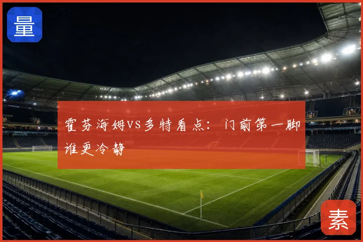 霍芬海姆vs多特看点：门前第一脚谁更冷静